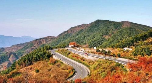 馳騁浙里，挑戰(zhàn)自我 浙江三條絕美盤(pán)山公路與鐵路隔離柵的守護(hù)