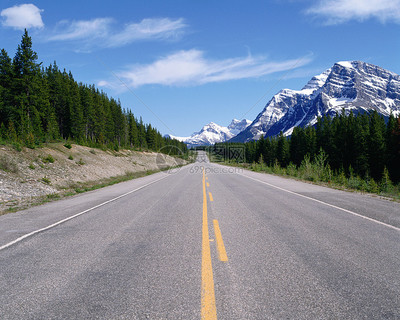 風(fēng)景如畫(huà)的荒蕪高速公路 聲屏障下的靜謐與回響